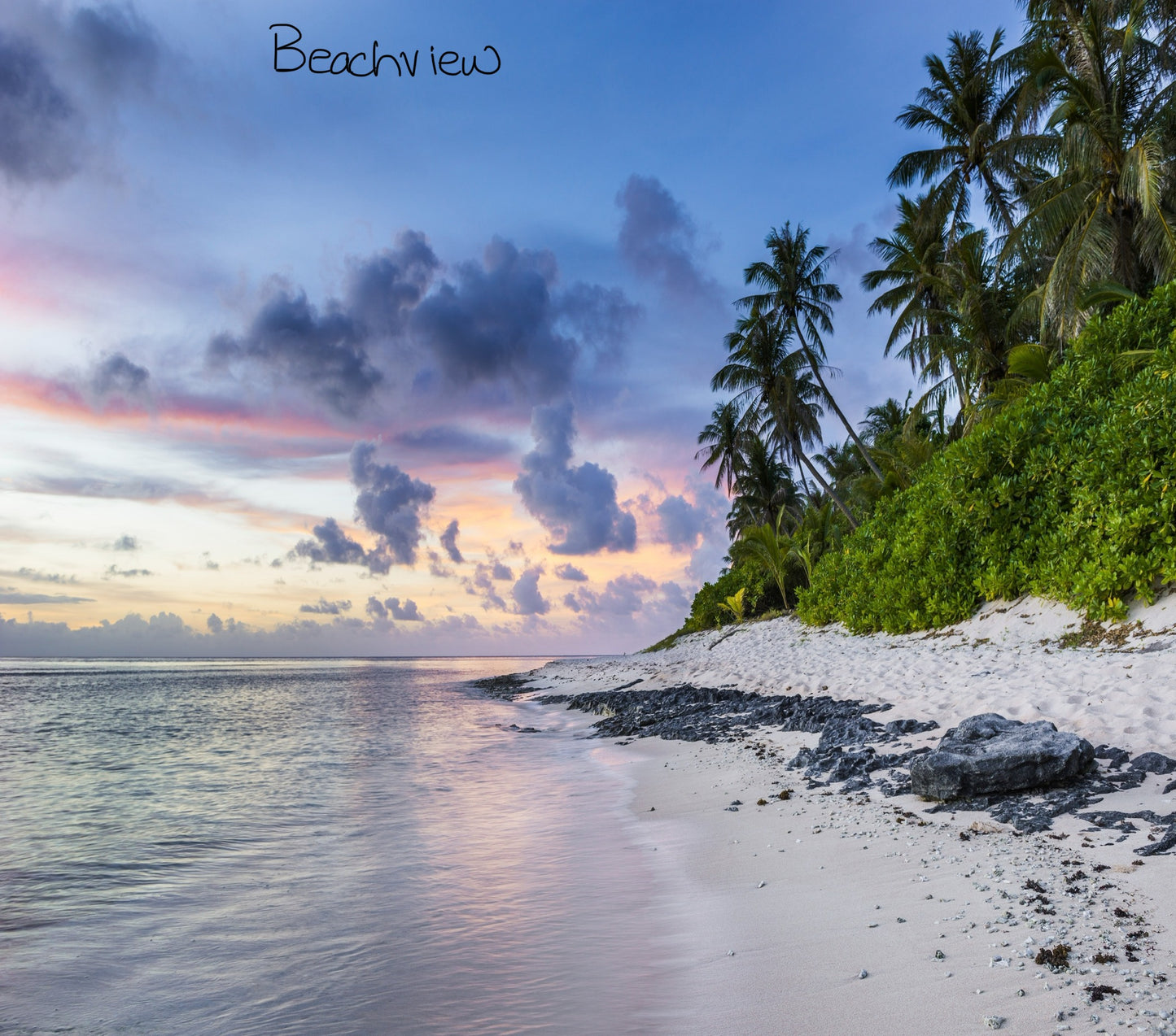 Beachview 20 oz