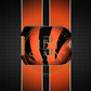 Cincinnati Bengals